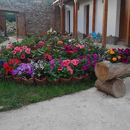 Shishkovi Guest house *